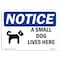 Signmission OSHA Notice, 5" Height, A Small Dog Lives Here Sign With Symbol, 7" X 5", Landscape OS-NS-D-57-L-10029 - alternate 1